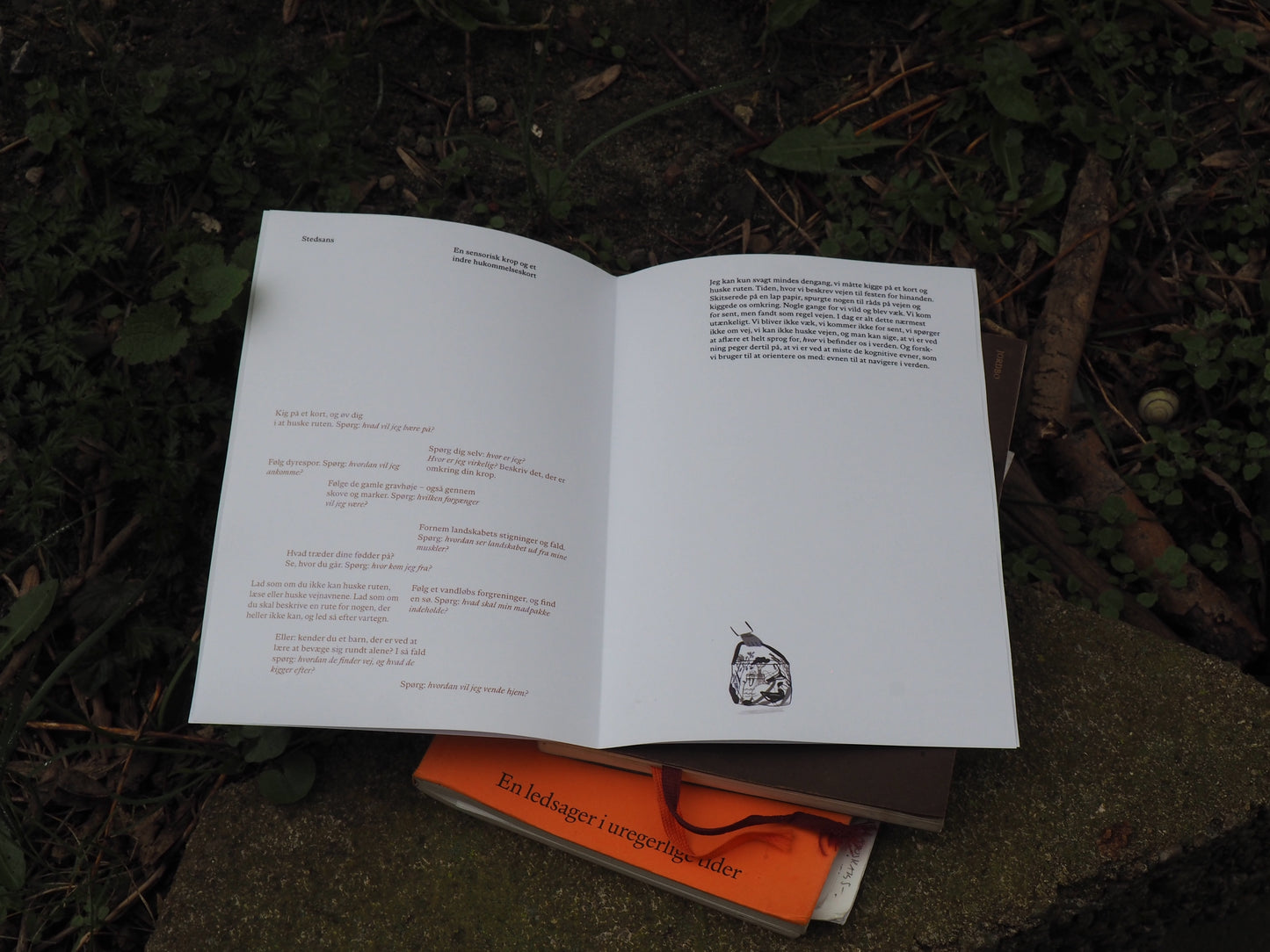 Jordbo øvelseskort: Stedsans